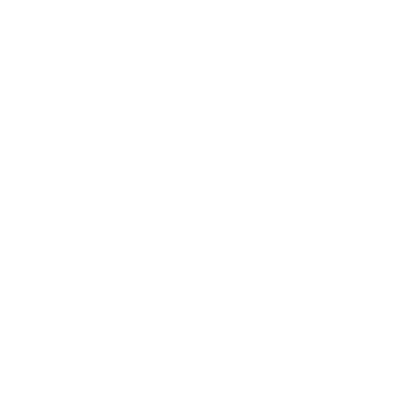 KNVB
